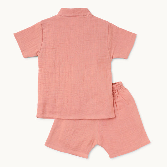 Light Brick Summer Shirt & Shorts Set - Infant Boys